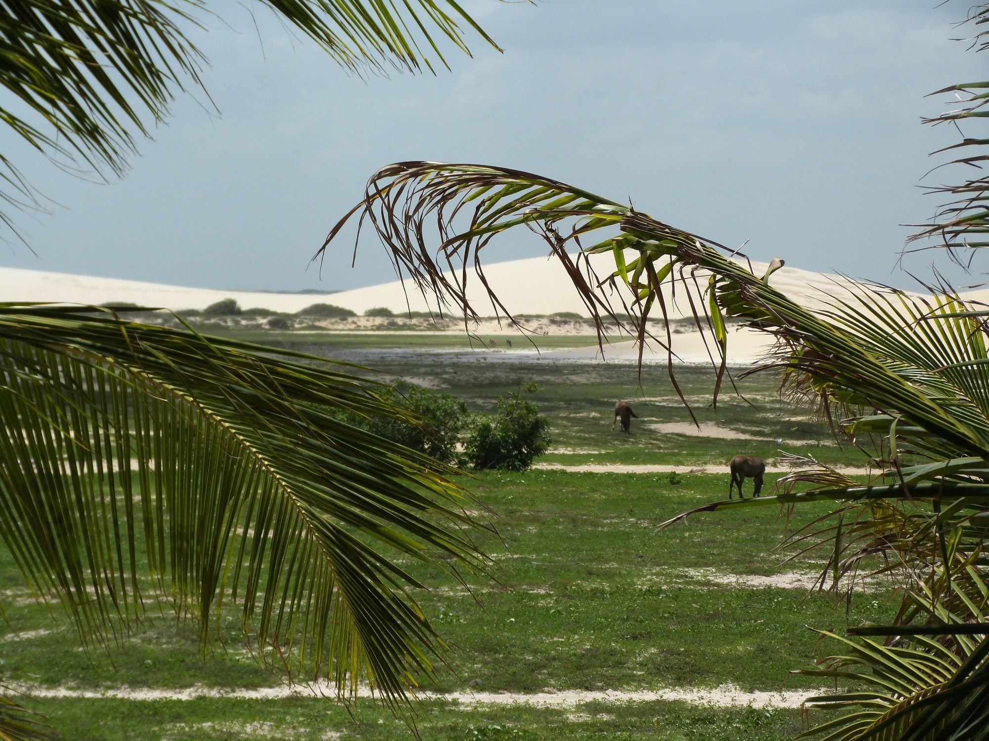 Pousada Mahi Jijoca de Jericoacoara Exterior photo
